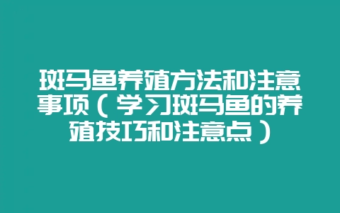 斑马鱼养殖方法和注意事项(学习斑马鱼的养殖技巧和注意点)-会东网