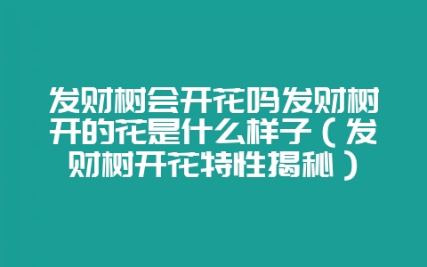 发财树会开花吗发财树开的花是什么样子（发财树开花特性揭秘）-会东网