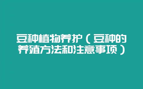 豆种植物养护(豆种的养殖方法和注意事项)-会东网