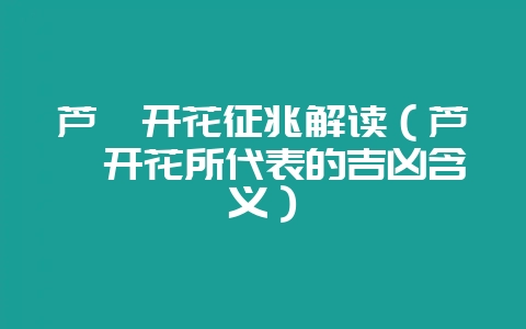芦荟开花征兆解读（芦荟开花所代表的吉凶含义）-会东网