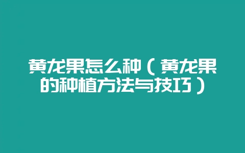 黄龙果怎么种（黄龙果的种植方法与技巧）-会东网