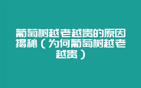 葡萄树越老越贵的原因揭秘（为何葡萄树越老越贵）-会东网