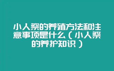 小人祭的养殖方法和注意事项是什么(小人祭的养护知识)-会东网