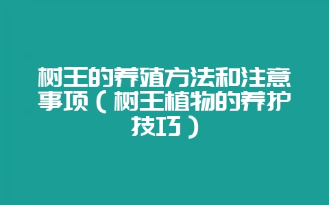 树王的养殖方法和注意事项(树王植物的养护技巧)-会东网