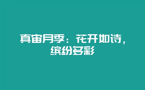 真宙月季：花开如诗，缤纷多彩-会东网