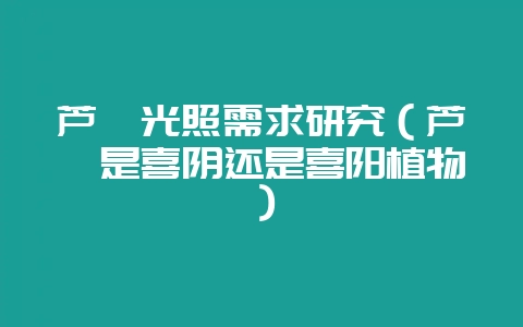 芦荟光照需求研究（芦荟是喜阴还是喜阳植物）-会东网