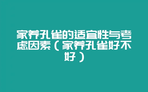 家养孔雀的适宜性与考虑因素(家养孔雀好不好)-会东网