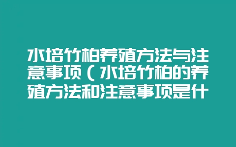 水培竹柏养殖方法与注意事项（水培竹柏的养殖方法和注意事项是什-会东网