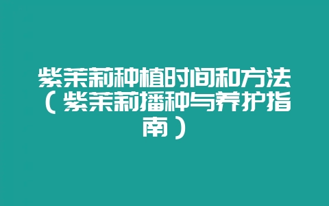 紫茉莉种植时间和方法（紫茉莉播种与养护指南）-会东网