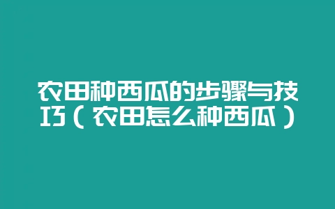 农田种西瓜的步骤与技巧(农田怎么种西瓜)-会东网