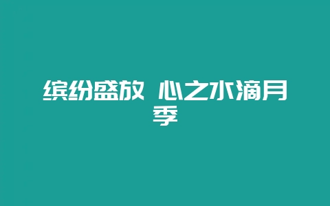 缤纷盛放 心之水滴月季-会东网