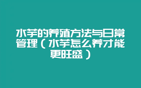 水芋的养殖方法与日常管理（水芋怎么养才能更旺盛）-会东网