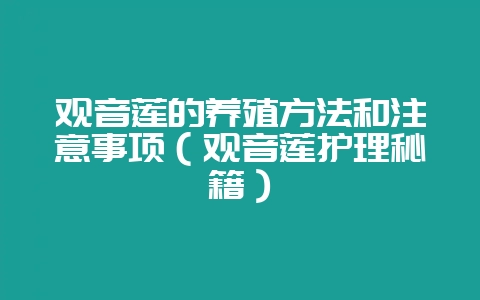观音莲的养殖方法和注意事项(观音莲护理秘籍)-会东网