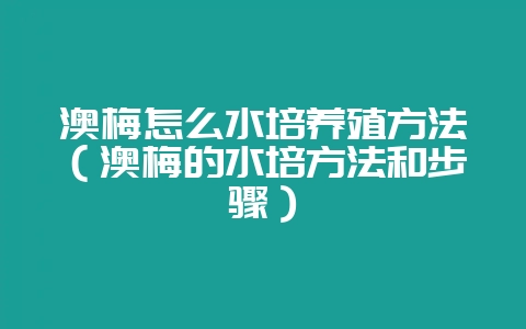 澳梅怎么水培养殖方法（澳梅的水培方法和步骤）-会东网