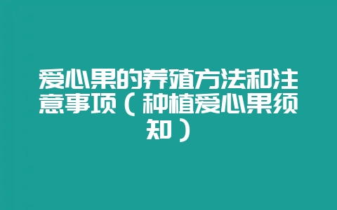 爱心果的养殖方法和注意事项（种植爱心果须知）-会东网