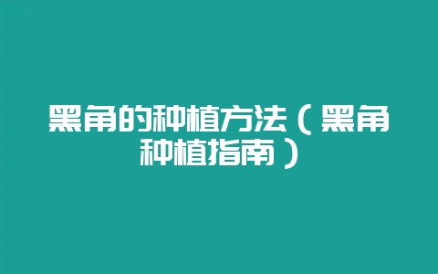 黑角的种植方法(黑角种植指南)-会东网