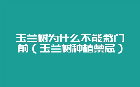 玉兰树为什么不能栽门前（玉兰树种植禁忌）-会东网