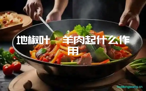 地椒叶炖羊肉起什么作用-会东网
