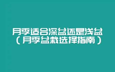 月季适合深盆还是浅盆(月季盆栽选择指南)-会东网