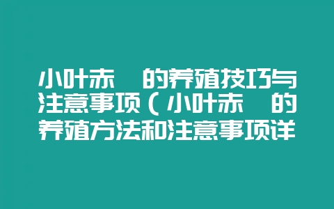 小叶赤楠的养殖技巧与注意事项(小叶赤楠的养殖方法和注意事项详-会东网