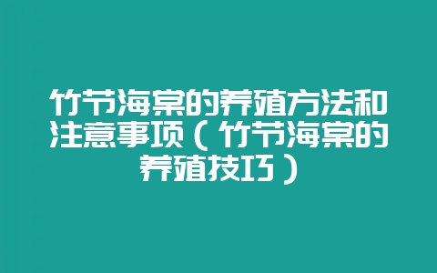 竹节海棠的养殖方法和注意事项(竹节海棠的养殖技巧)-会东网