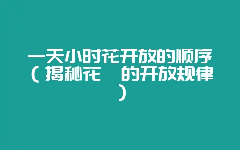 一天小时花开放的顺序(揭秘花卉的开放规律)-会东网