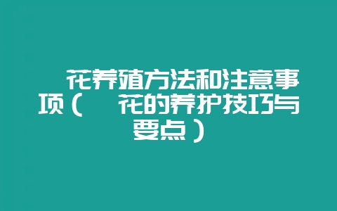 槿花养殖方法和注意事项(槿花的养护技巧与要点)-会东网
