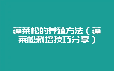 蓬莱松的养殖方法(蓬莱松栽培技巧分享)-会东网