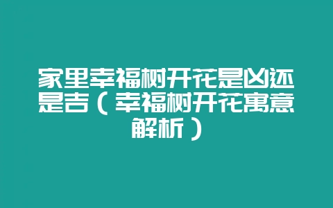 家里幸福树开花是凶还是吉（幸福树开花寓意解析）-会东网