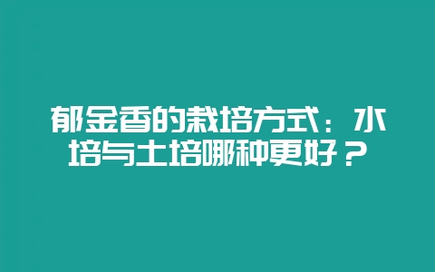 郁金香的栽培方式：水培与土培哪种更好？-会东网
