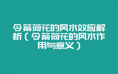 令箭荷花的风水效应解析（令箭荷花的风水作用与意义）-会东网