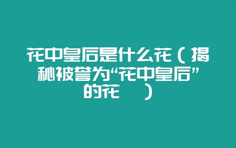 花中皇后是什么花（揭秘被誉为“花中皇后”的花卉）-会东网