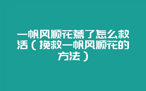 一帆风顺花蔫了怎么救活（挽救一帆风顺花的方法）-会东网