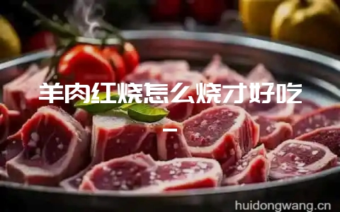 羊肉红烧怎么烧才好吃_-会东网