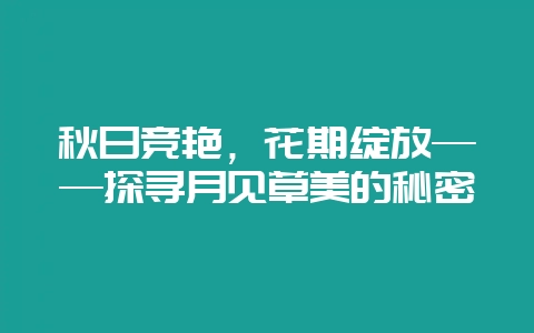 秋日竞艳，花期绽放——探寻月见草美的秘密-会东网