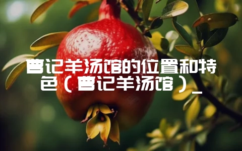 曹记羊汤馆的位置和特色(曹记羊汤馆)_-会东网