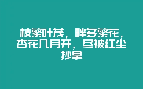 枝繁叶茂，畔多繁花，杏花几月开，尽被红尘抄拿-会东网