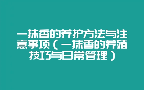 一抹香的养护方法与注意事项（一抹香的养殖技巧与日常管理）-会东网