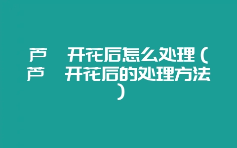 芦荟开花后怎么处理(芦荟开花后的处理方法)-会东网
