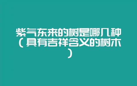 紫气东来的树是哪几种(具有吉祥含义的树木)-会东网