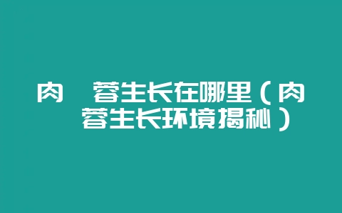 肉苁蓉生长在哪里（肉苁蓉生长环境揭秘）-会东网
