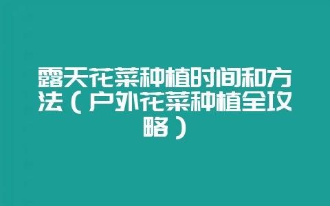 露天花菜种植时间和方法（户外花菜种植全攻略）-会东网