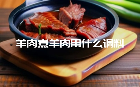 羊肉煮羊肉用什么调料-会东网