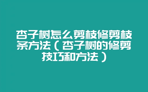 杏子树怎么剪枝修剪枝条方法(杏子树的修剪技巧和方法)-会东网