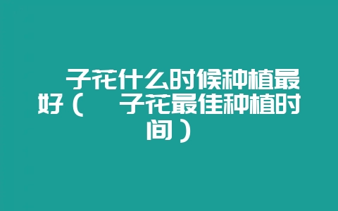 栀子花什么时候种植最好（栀子花最佳种植时间）-会东网