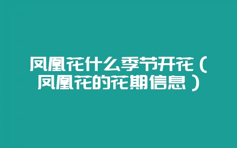 凤凰花什么季节开花（凤凰花的花期信息）-会东网