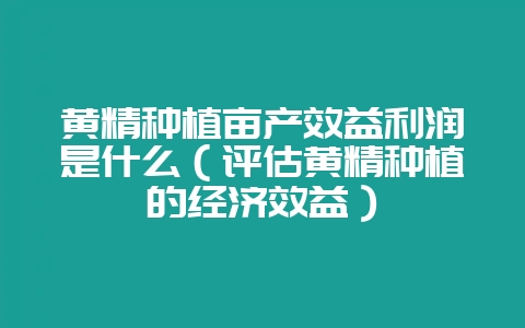 黄精种植亩产效益利润是什么（评估黄精种植的经济效益）-会东网