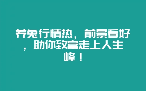 养兔行情热,前景看好,助你致富走上人生巅峰!-会东网
