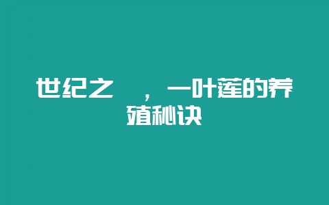 世纪之巅,一叶莲的养殖秘诀插图 世纪之巅,一叶莲的养殖秘诀插图