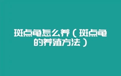 斑点龟怎么养（斑点龟的养殖方法）-会东网